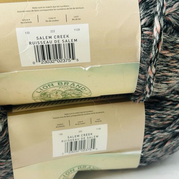 Lion Brand Yarn Hometown Bonus Bundle Salem Creek Lot 2 Skeins 8 oz Each - Picture 7 of 7